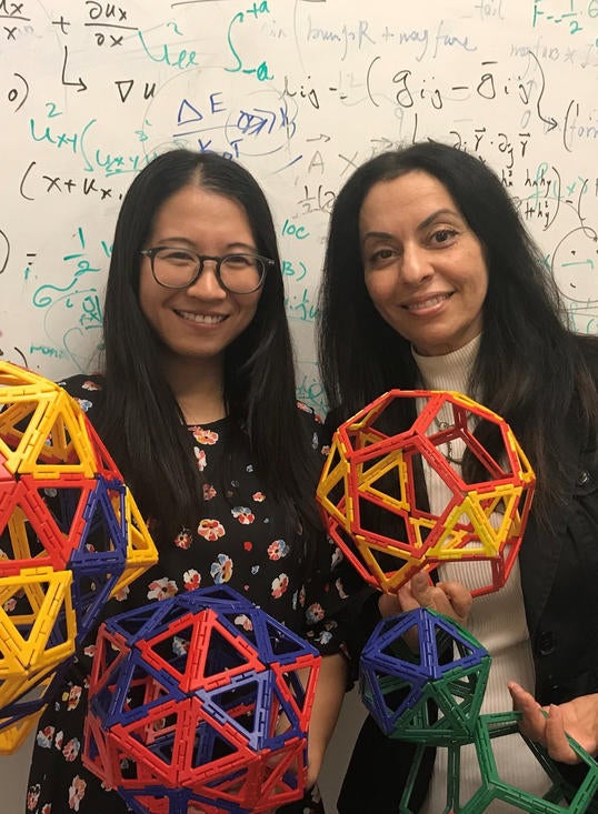 Roya Zandi and Siyu Li holding icosahedral structures